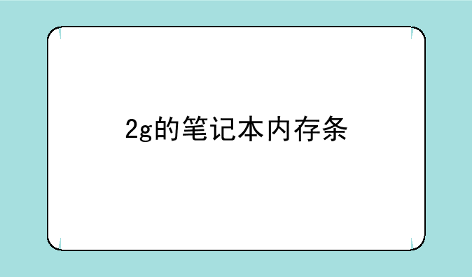 2g的笔记本内存条
