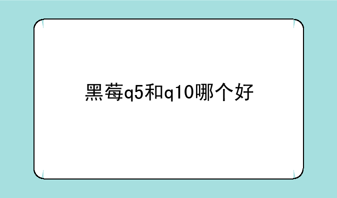 黑莓q5和q10哪个好