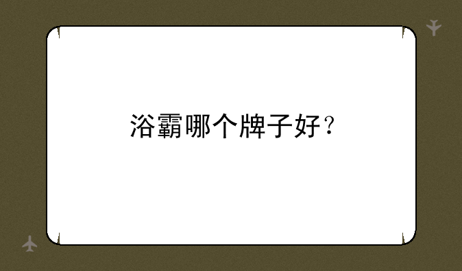 浴霸哪个牌子好？