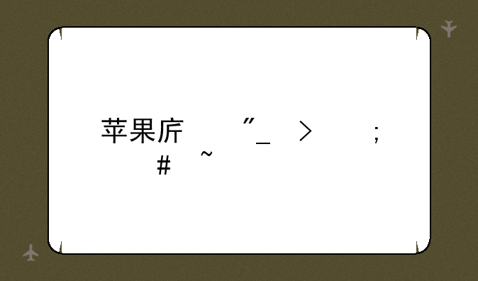苹果序列号怎么查