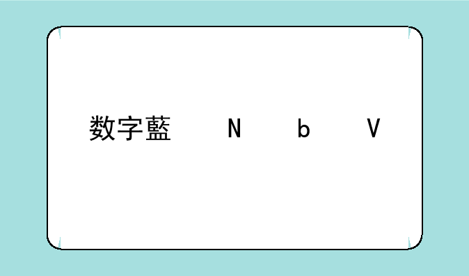 数字藏品xm是啥