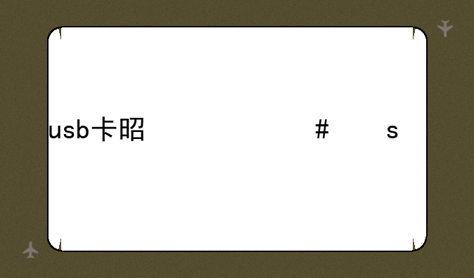 usb卡是什么东西
