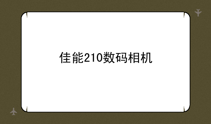佳能210数码相机