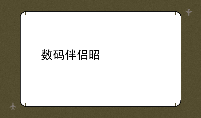 数码伴侣是什么