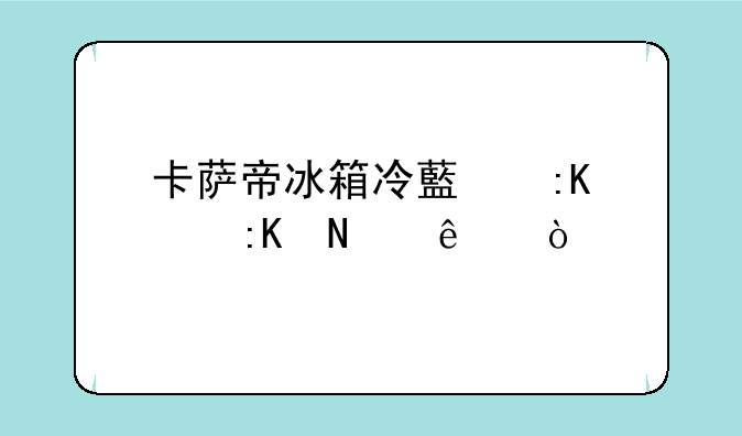 卡萨帝冰箱冷藏排水排哪了？