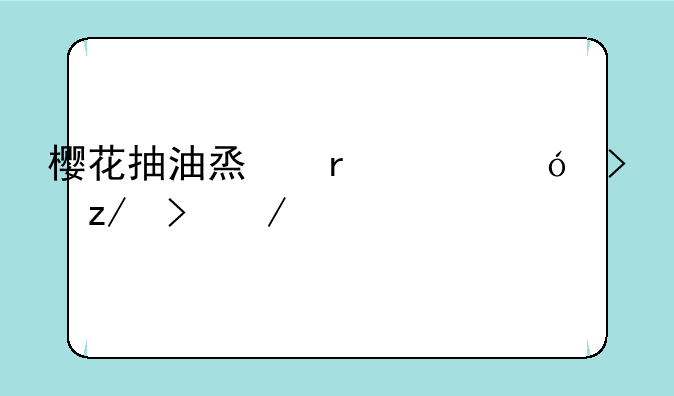 樱花抽油烟机价格及型号介绍