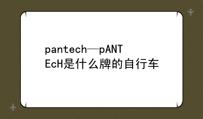 pantech—pANTEcH是什么牌的自行车