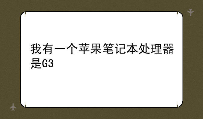 我有一个苹果笔记本处理