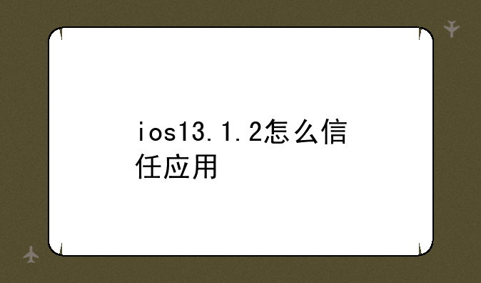ios13.1.2怎么信任应用