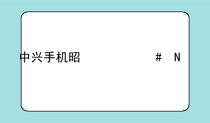中兴手机是什么品牌