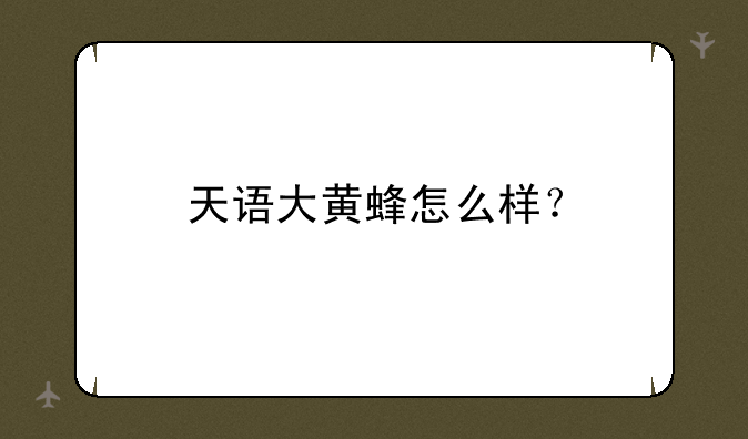 天语大黄蜂怎么样？