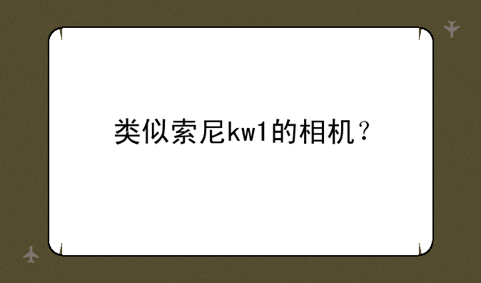 类似索尼kw1的相机？