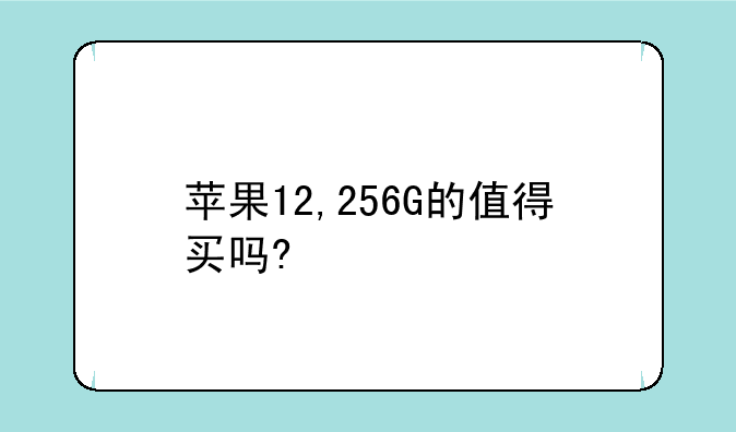 苹果12,256G的值得买吗?