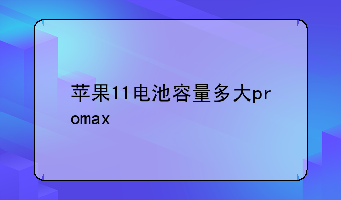 苹果11电池容量多大proma