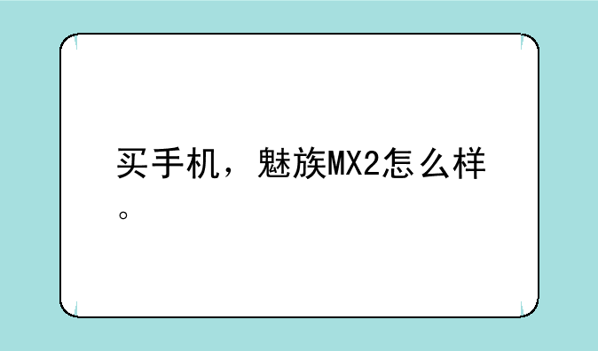 买手机，魅族MX2怎么样。