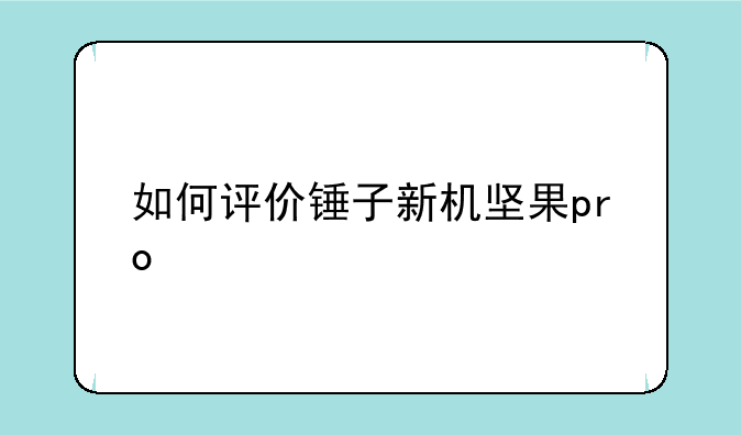 如何评价锤子新机坚果pro
