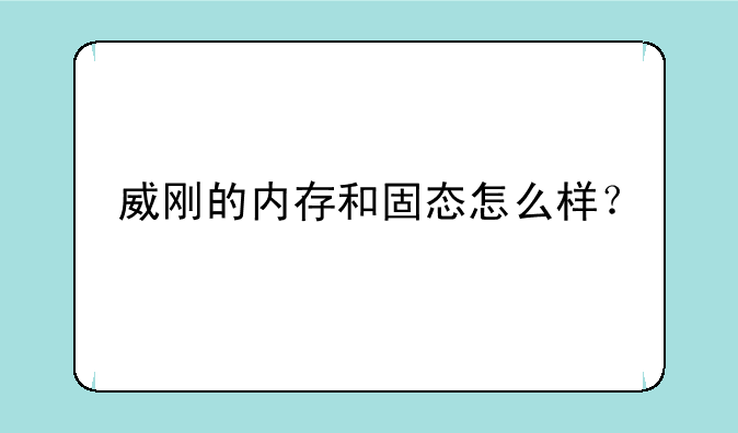 威刚的内存和固态怎么样？