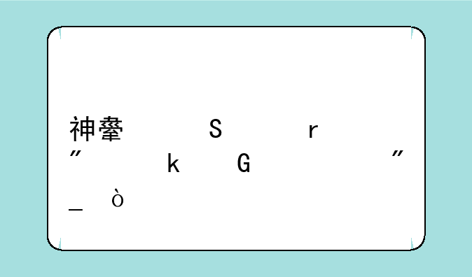 神舟笔记本分多少个系列？