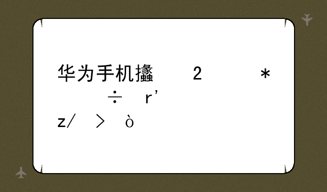 华为手机支持5g功能有几个型号？