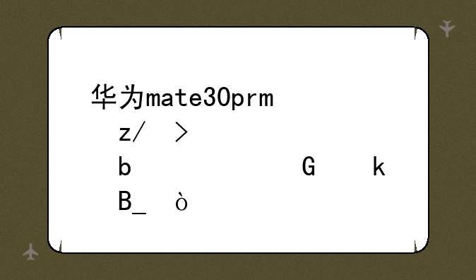 华为mate30pro型号lio-an00是全