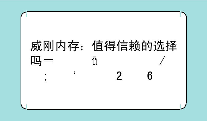 威刚内存：值得信赖的选择吗？深度评测与选购指南