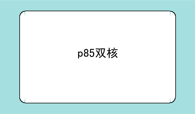 p85双核