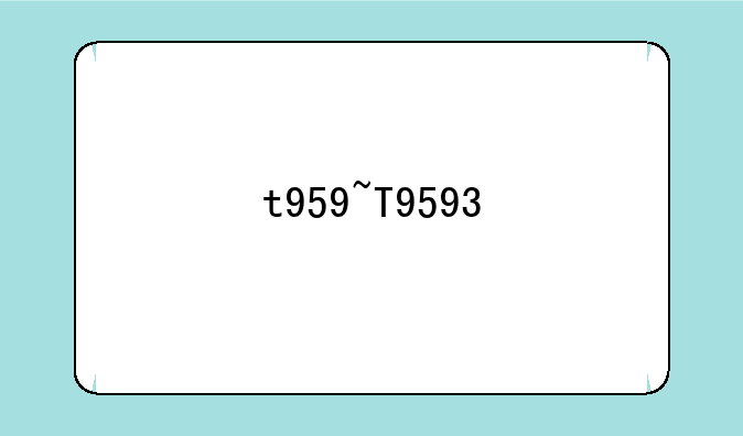 t959~T9593