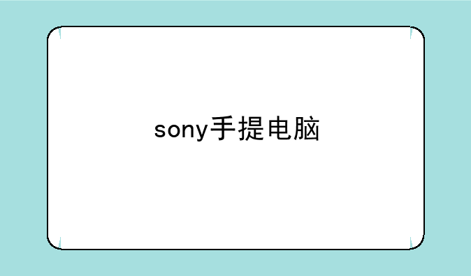 sony手提电脑
