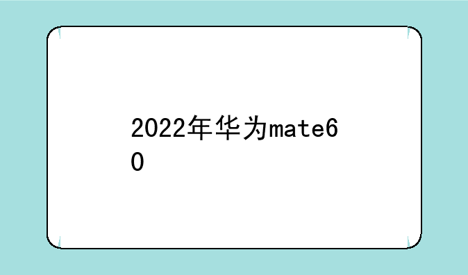 2022年华为mate60