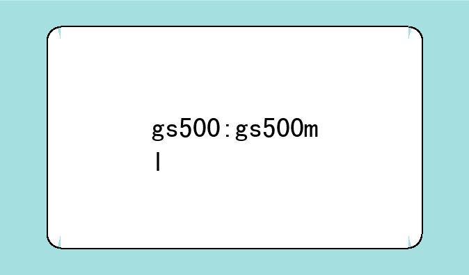 gs500:gs500ml