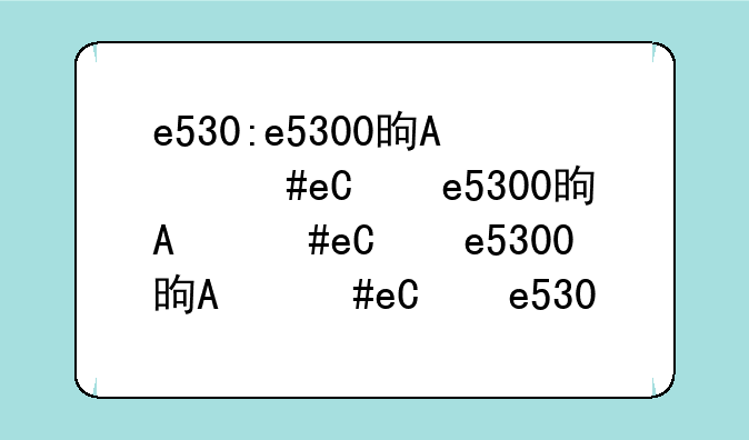 e530:e5300是哪年的