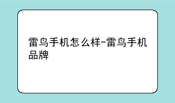 雷鸟手机怎么样-雷鸟手机