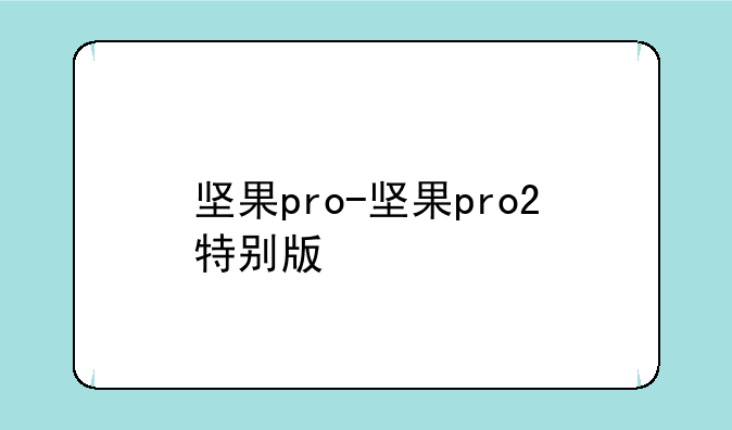 坚果pro-坚果pro2特别版