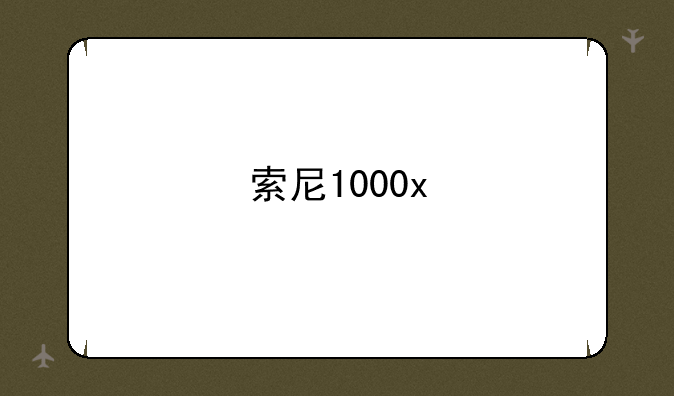 索尼1000x