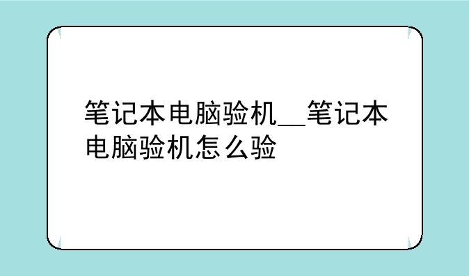 笔记本电脑验机__笔记本电脑验机怎么验