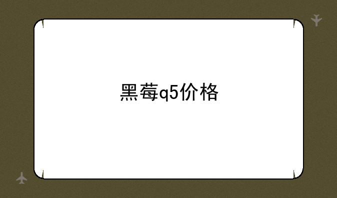黑莓q5价格