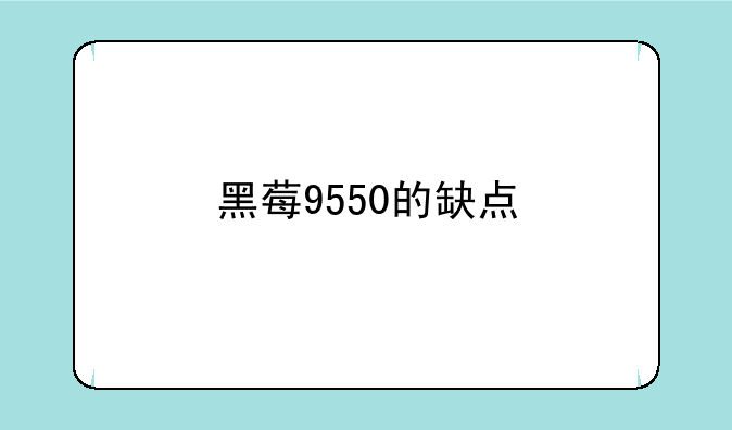 黑莓9550用电量怎么样 每天