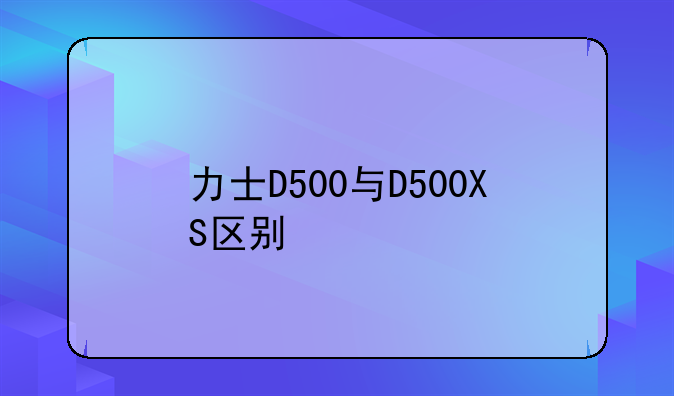 力士D500与D500XS区别