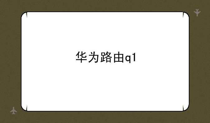 华为路由q1